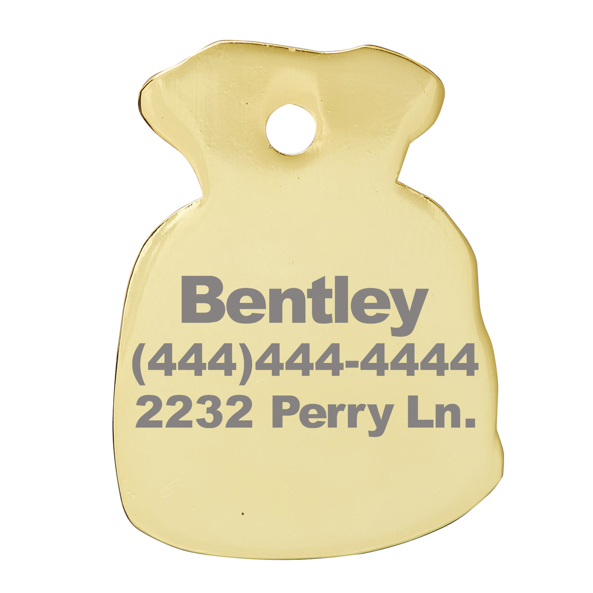 Money Bag Tag | Trill Paws - Pet tag – TRILL PAWS