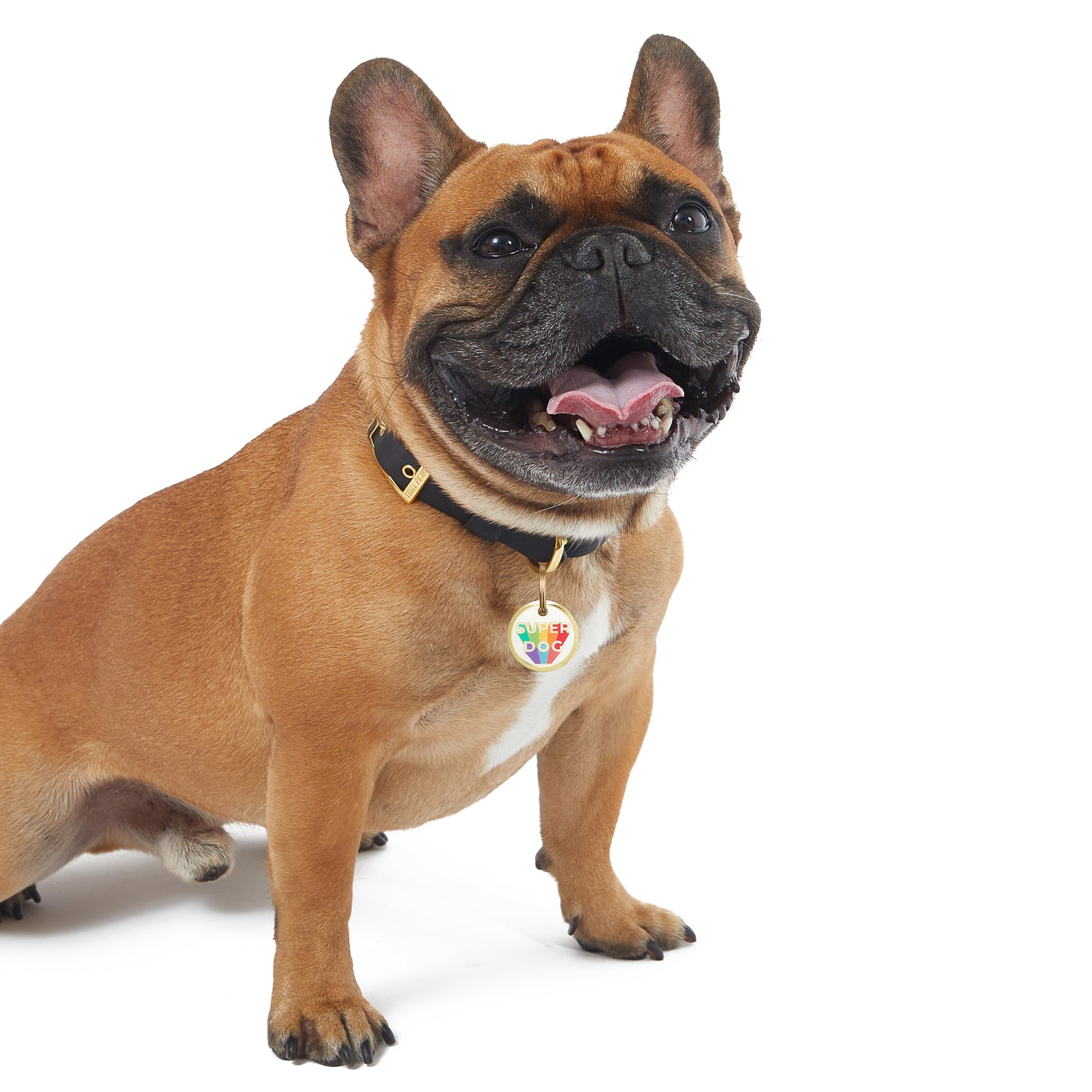 Super Dog Tag