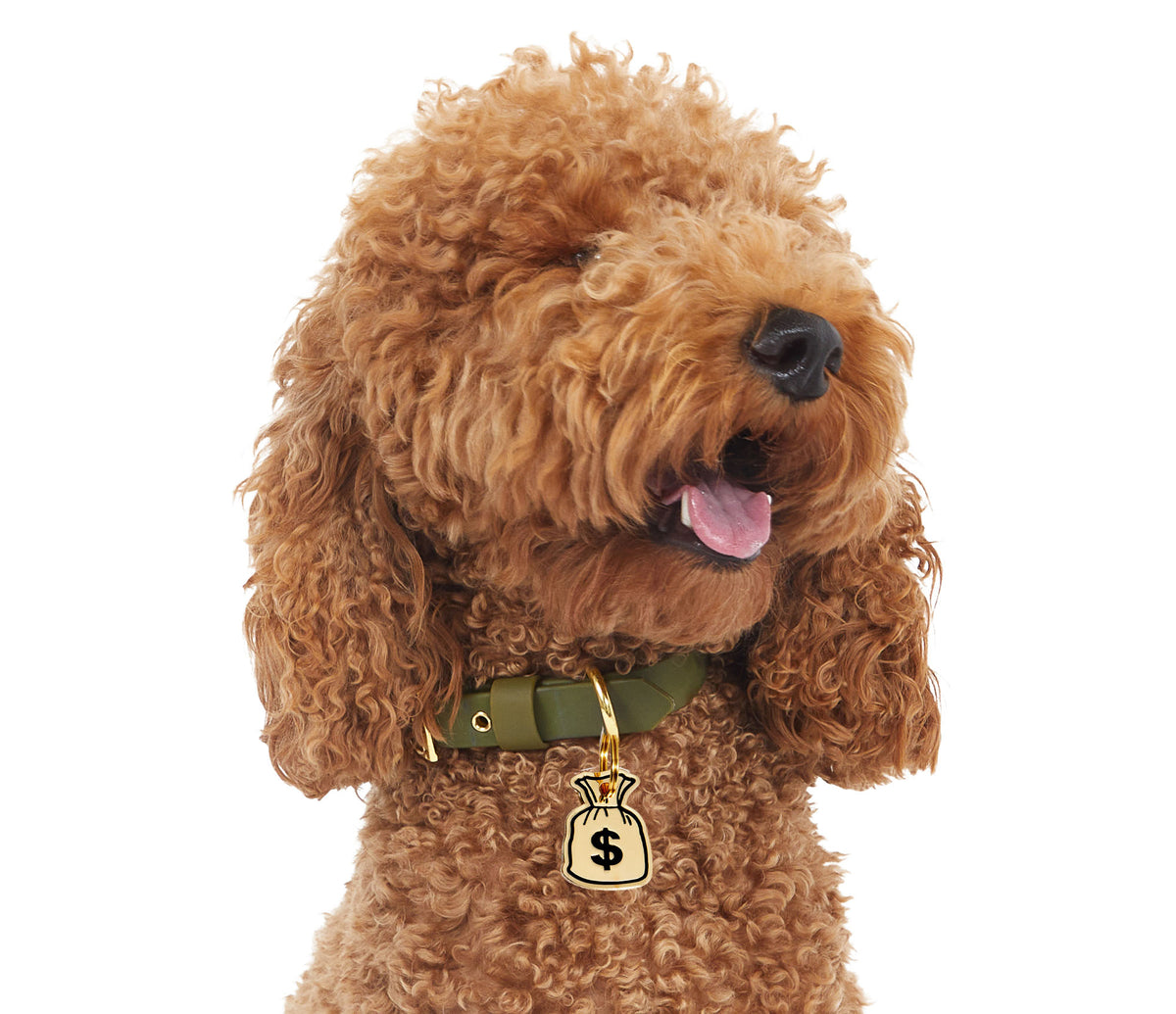 MetaAdsBentley_1200x1200.jpg?v