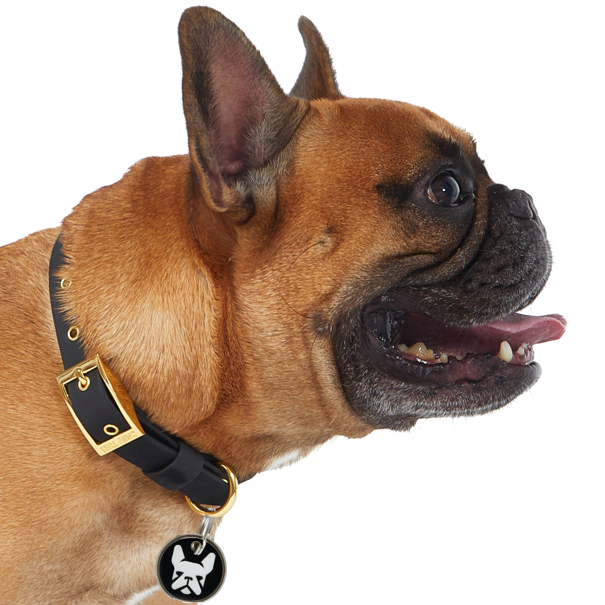 Pelagiia i belyi buldog. Pelagiia … Amazon.com: Peppy Pets French Bulldog (Amazon Exclusive) : Toys