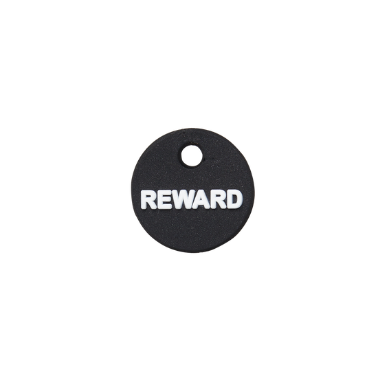 Reward Mini Charm