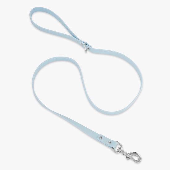 blue and silver trill paws pvc dog leash on white background