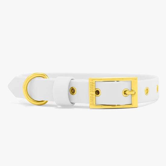 white and gold trill paws pvc dog collar on white background