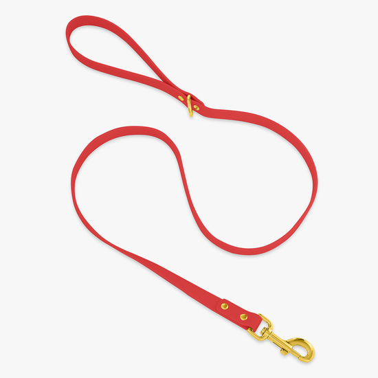 Leash Really Red