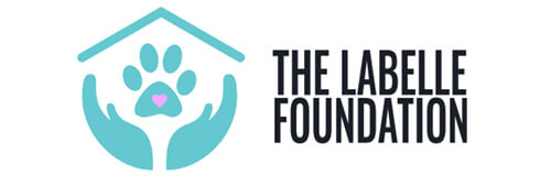 white black and blue text the labelle foundation 