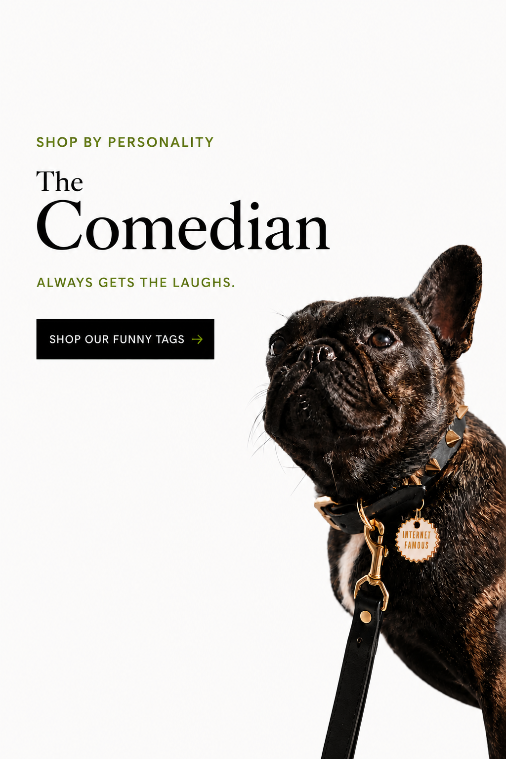 The Comedian