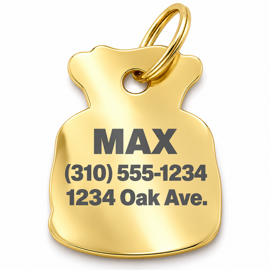 Personalized Dog ID Tag, Laser Engraved - Money Bag | Trill Paws Personalized Dog ID Tag, Laser Engraved - Money Bag | Trill Paws