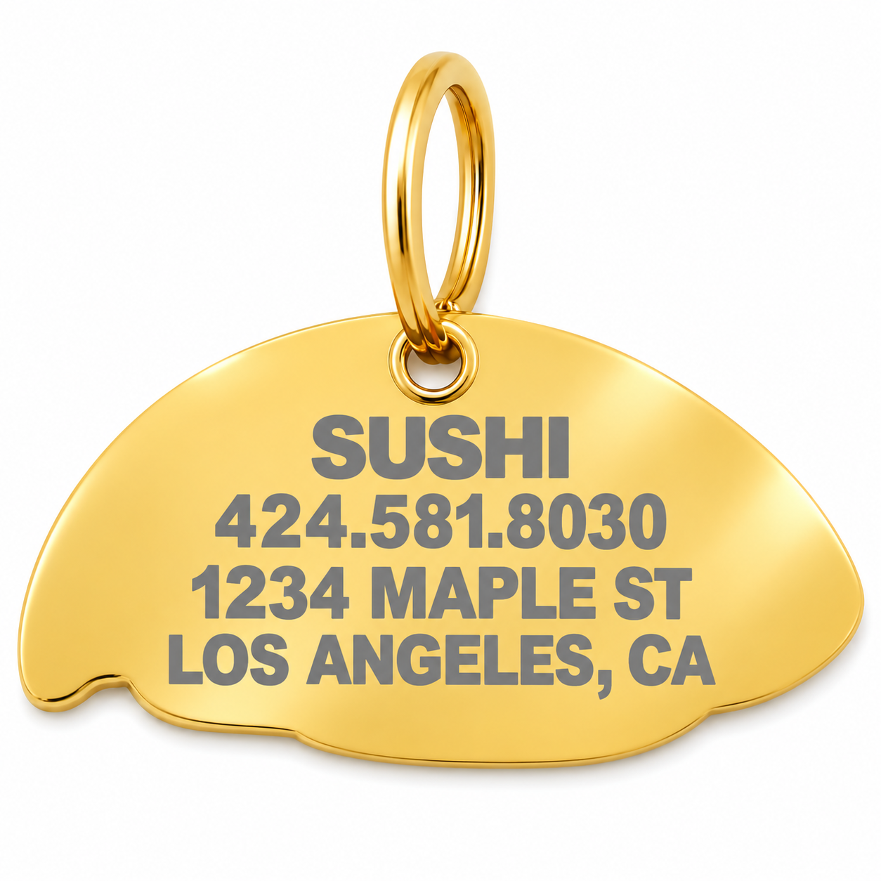 Sushi Tag