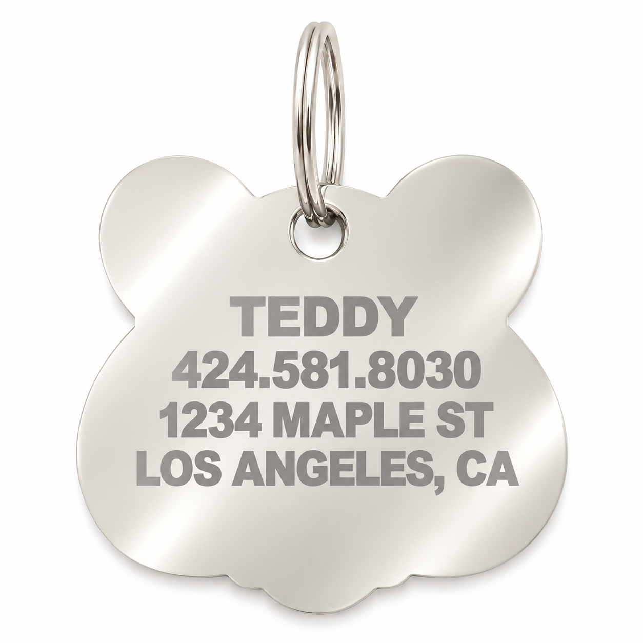 Teddy Tag