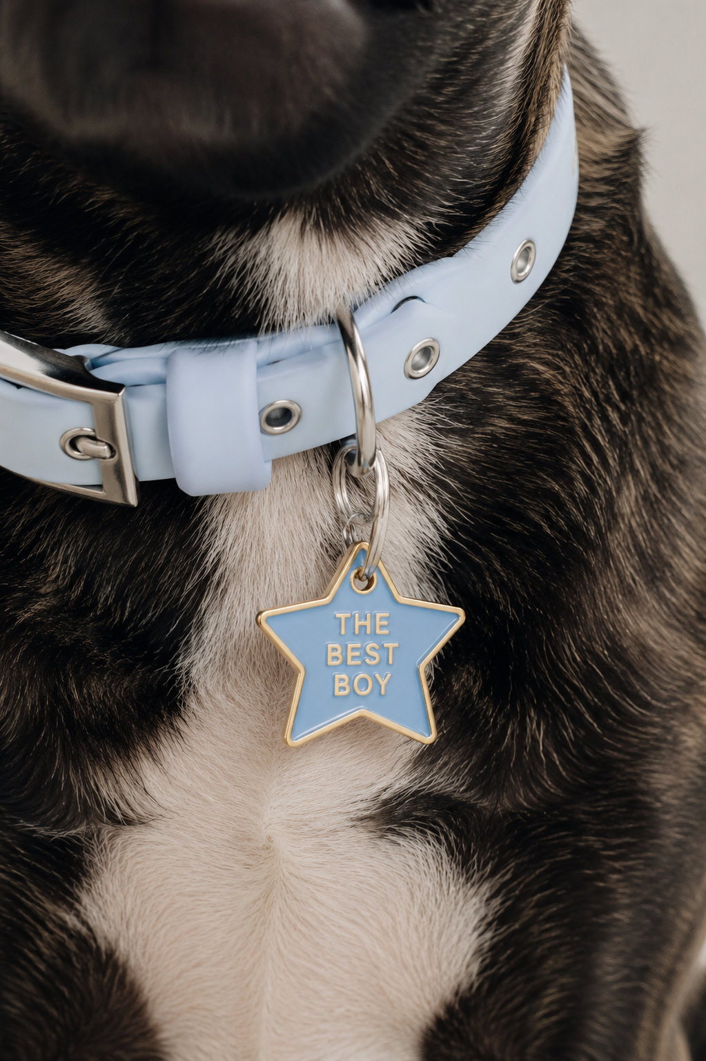 The Best Boy Tag