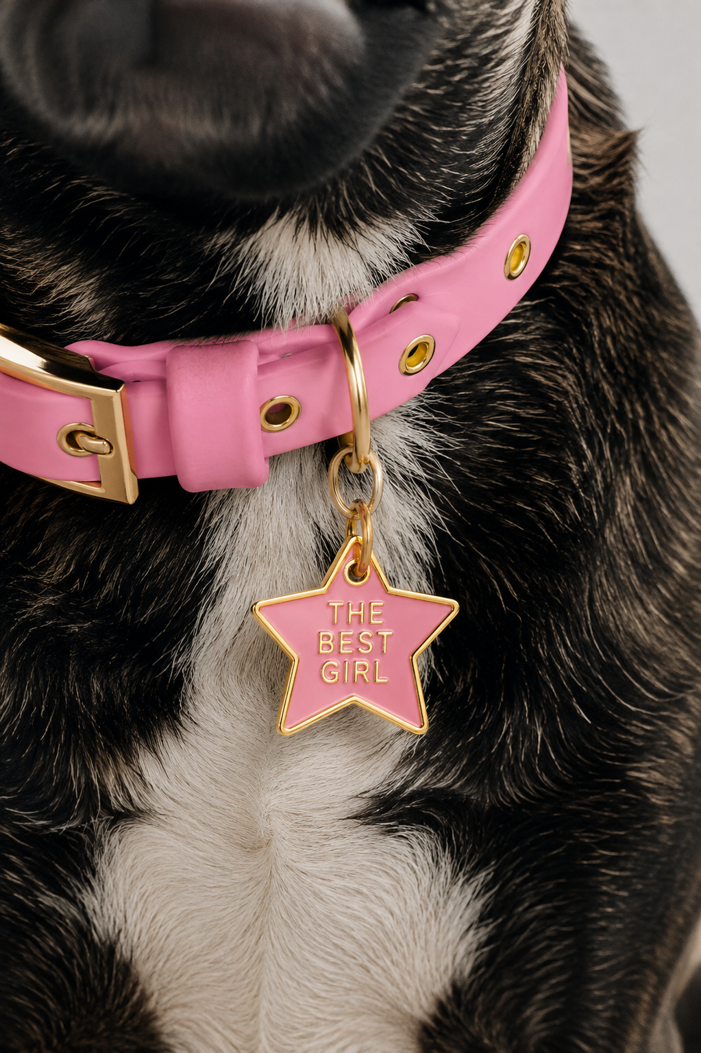 The Best Girl Tag