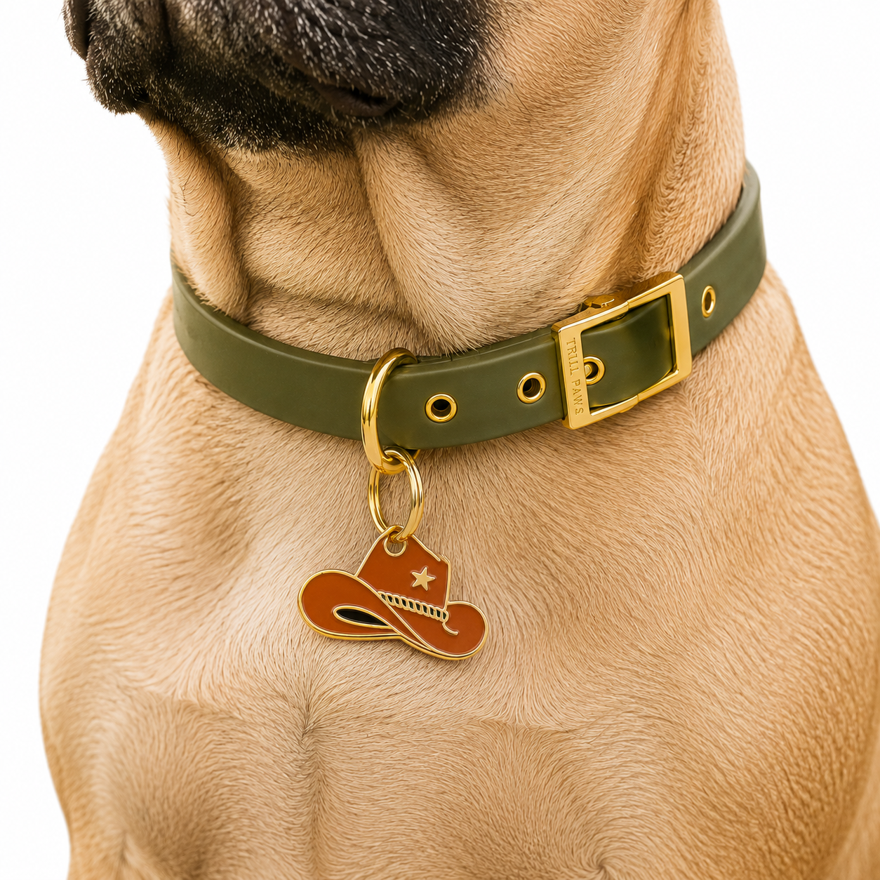 Cowboy Hat Tag