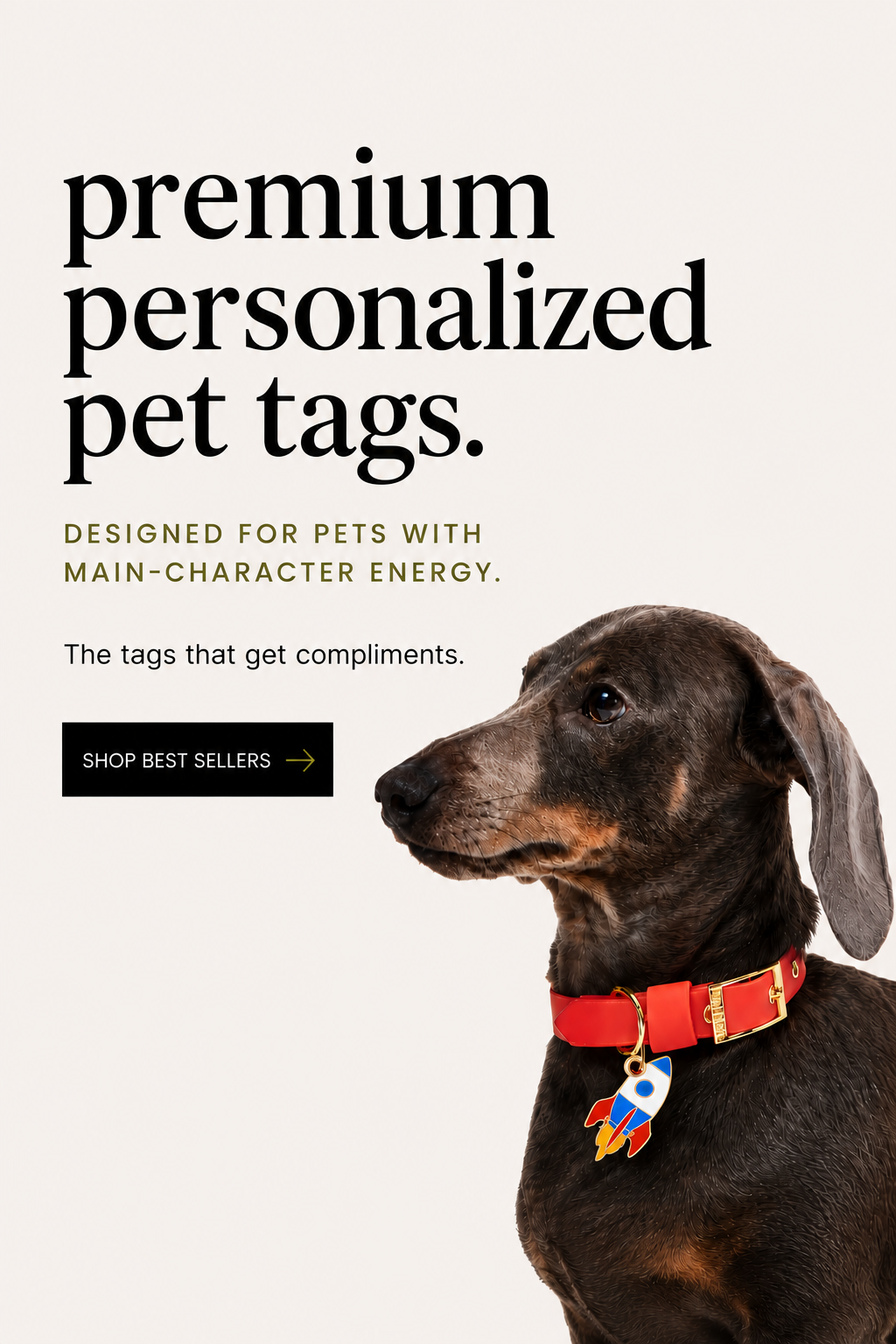 Promotional graphic for premium personalized pet tags featuring a dachshund wearing a red collar with a colorful rocket-shaped tag, on a light beige background with large black text.