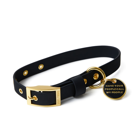 versace dog collar