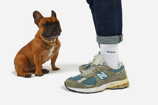Load image into Gallery viewer, Dog Dad Club Socks - Black
