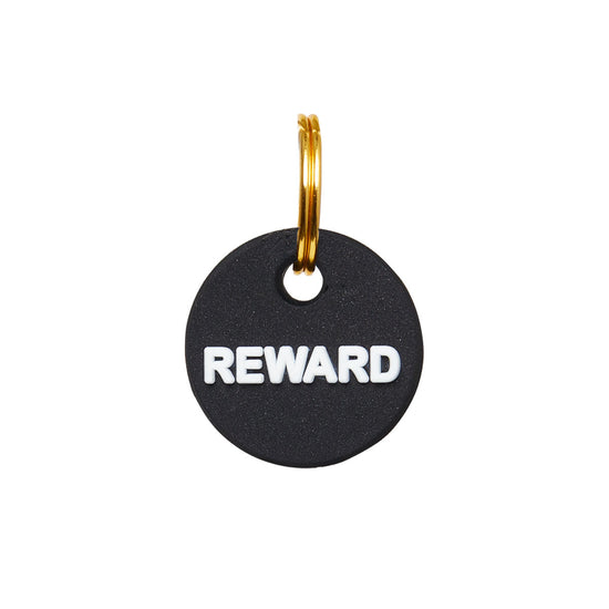 Reward Mini Charm