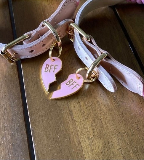 pink bff trill paws matching id tags 