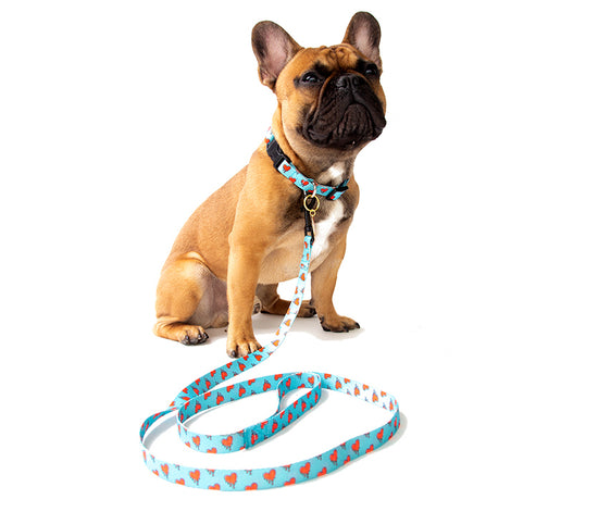 Load image into Gallery viewer, French Bulldog wearing blue and red melting hearts leash and collar set | Trill Paws
