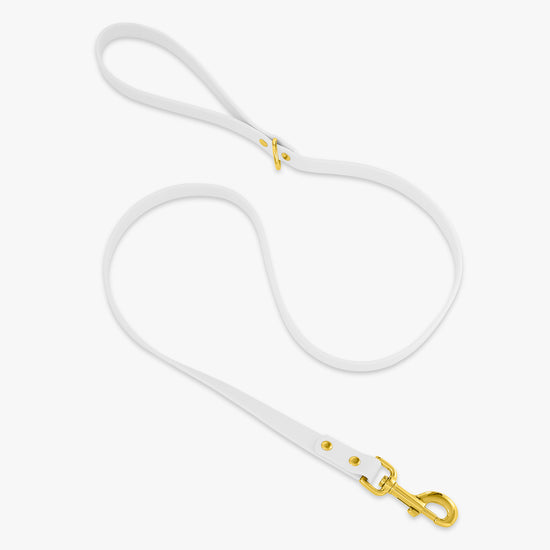 white and gold trill paws pvc dog leash on white background