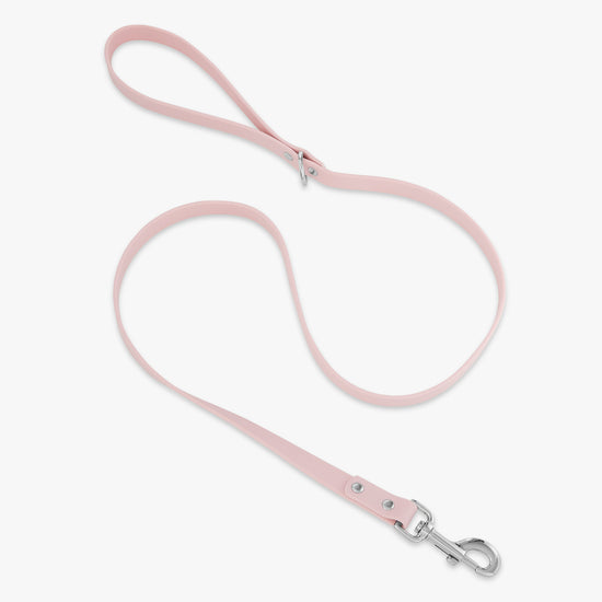 pink and silver trill paws pvc dog leash on white background