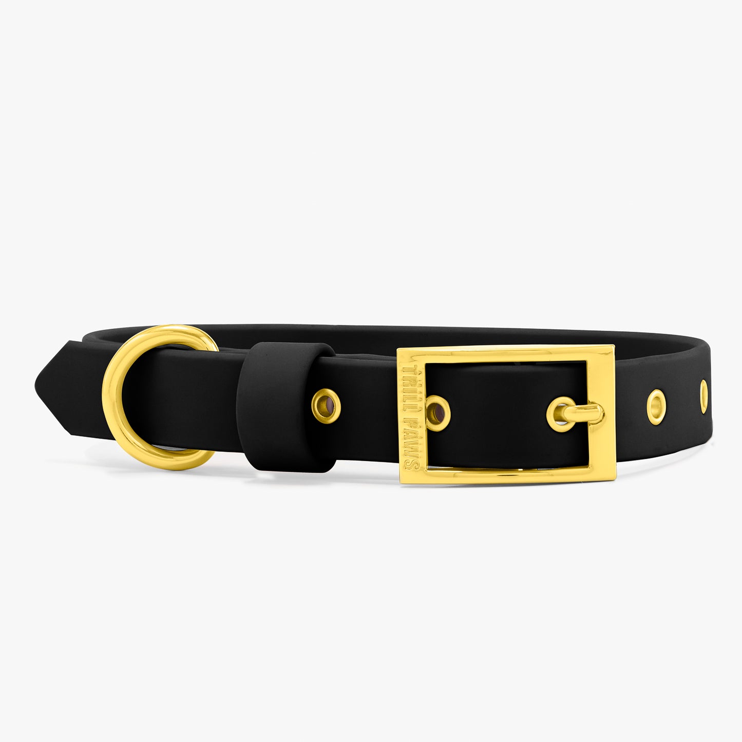 black and gold trill paws pvc dog collar on white background