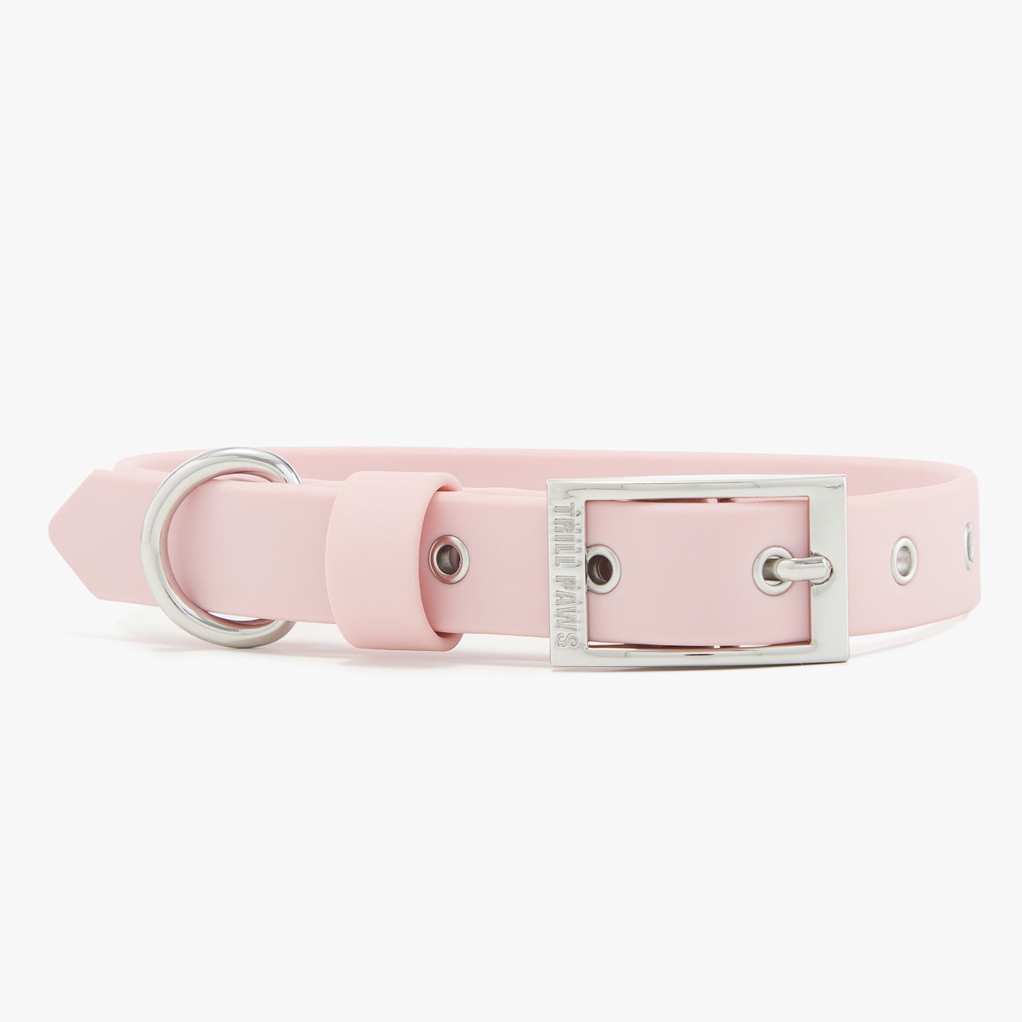 pink and silver trill paws pvc dog collar on white background