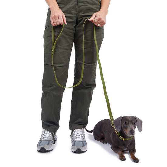 Leash Forest Green