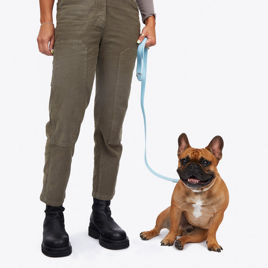 human holding blue trill paws leash attached to french bulldog